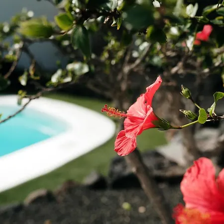 Tijuana - 3 Bedroom - Perfect For Families - Great Pool Area - Pool Table * Пуерто-дель-Кармен